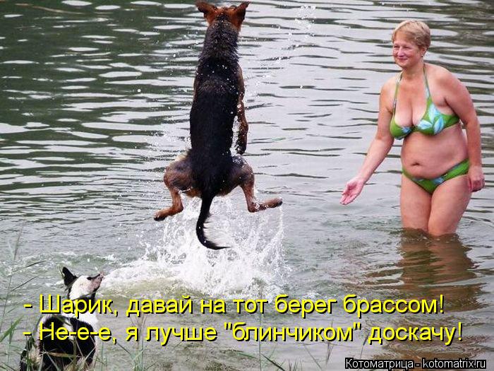 - Шарик, давай на тот берег брассом! - Не-е-е, я лучше "блинчиком" доскачу!... Котоматрица: - Шарик, давай на тот берег брассом! - Не-е-е, я лучше "блинчиком" доскачу!