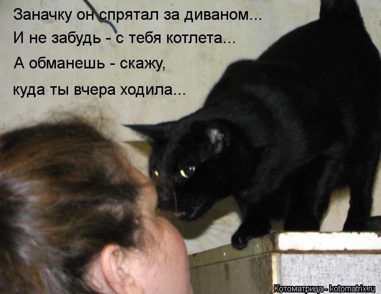 Заначку он спрятал за диваном... И не забудь - с тебя котлета... А обманешь - скажу, куда ты вчера х... Котоматрица: Заначку он спрятал за диваном... И не забудь - с тебя котлета... А обманешь - скажу, куда ты вчера ходила...