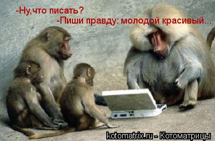 -Ну,что писать? -Пиши правду: молодой красивый...... Котоматрица: -Ну,что писать? -Пиши правду: молодой красивый...