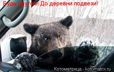 Будь другом! До деревни подвези!... Котоматрица: Будь другом! До деревни подвези!