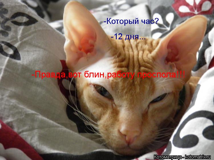 -Который час? -12 дня... -Правда,вот блин,работу проспола!!!... Котоматрица: -Который час? -12 дня... -Правда,вот блин,работу проспола!!!