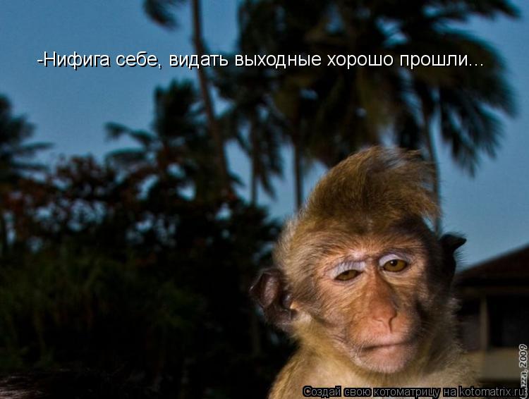 -Нифига себе, видать выходные хорошо прошли...... Котоматрица: -Нифига себе, видать выходные хорошо прошли...