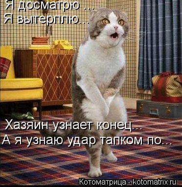 Котоматрица: Я досматрю ... Я вытерплю... Хазяин узнает конец... А я узнаю удар тапком по...