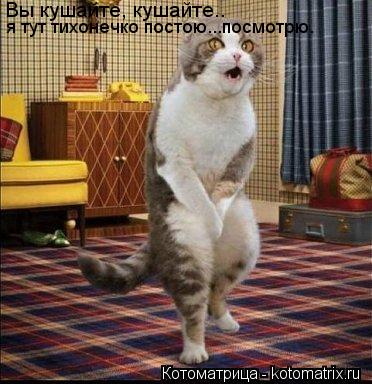 Котоматрица: Вы кушайте, кушайте.. я тут тихонечко постою...посмотрю.