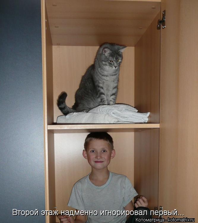 Котоматрица: Второй этаж надменно игнорировал первый...