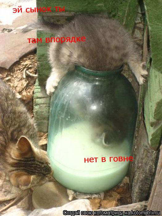 Котоматрица: эй сынок ты там впорядке нет в говне