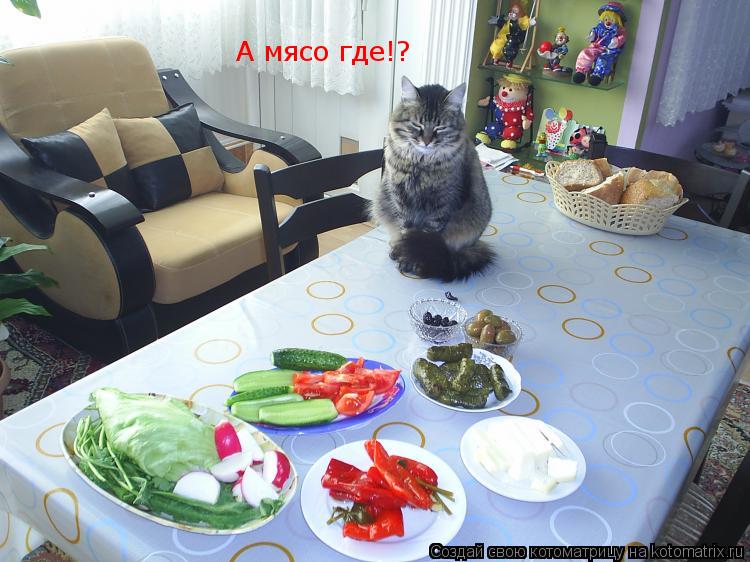Котоматрица: А мясо где!?