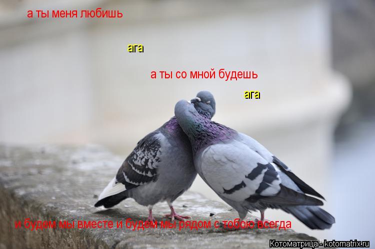 а ты меня любишь ага а ты со мной будешь ага и будем мы вместе и будем мы рядом с тобою всегда... Котоматрица: а ты меня любишь ага а ты со мной будешь ага и будем мы вместе и будем мы рядом с тобою всегда