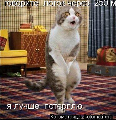 говорите лоток через 250 м я лучше потерплю... Котоматрица: говорите лоток через 250 м я лучше потерплю