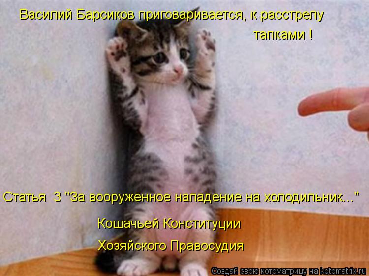 Котоматрица: Василий Барсиков приговаривается, к расстрелу тапками ! Статья №3 "За вооружённое нападение на холодильник..." Кошачьей Конституции Хозяйск