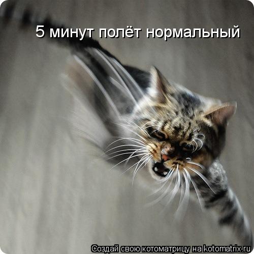 5 минут полёт нормальный... Котоматрица: 5 минут полёт нормальный
