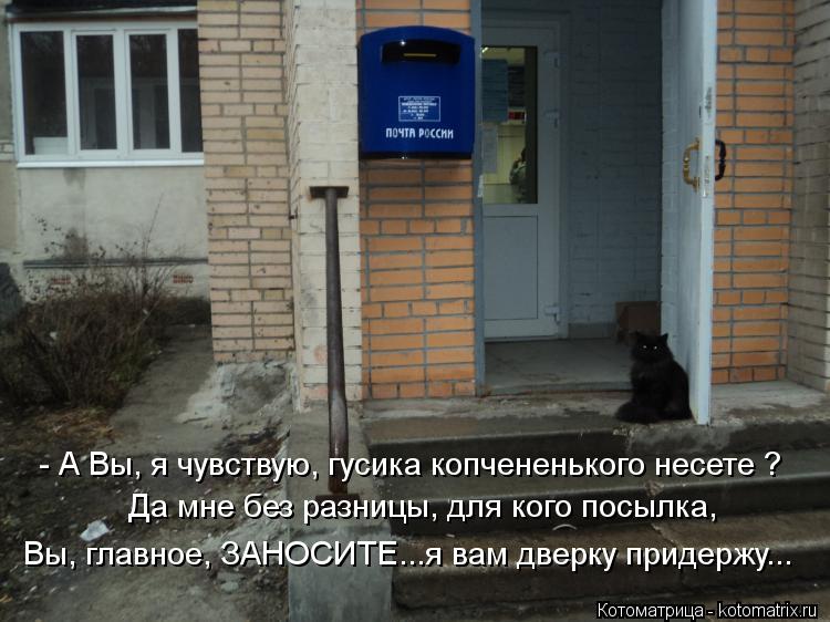 Да мне без разницы, для кого посылка, - А Вы, я чувствую, гусика копчененького несете ? Вы, главное, ... Котоматрица: Да мне без разницы, для кого посылка, - А Вы, я чувствую, гусика копчененького несете ? Вы, главное, ЗАНОСИТЕ...я вам дверку придержу...