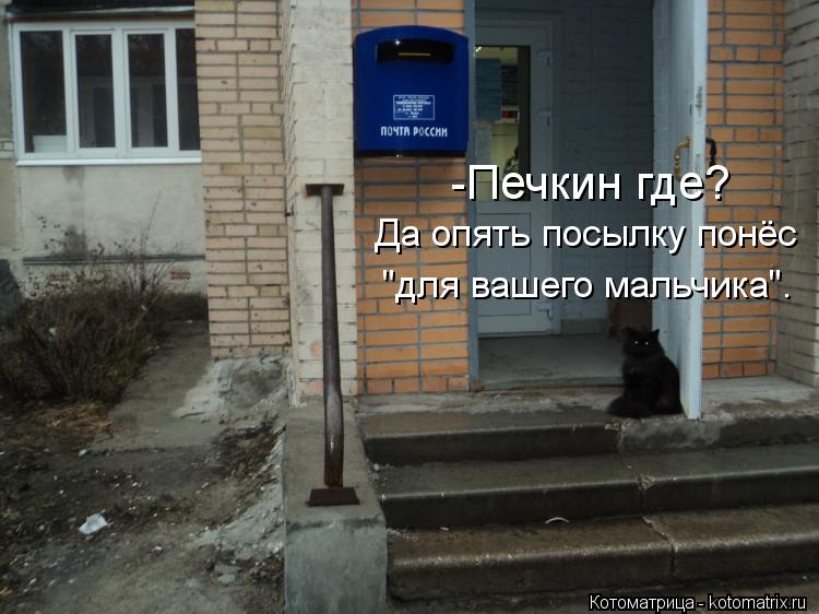 Котоматрица: -Печкин где? Да опять посылку понёс "для вашего мальчика".