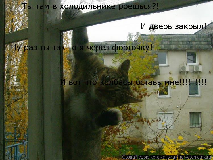 Котоматрица: Ты там в холодильнике роешься?! И дверь закрыл! Ну раз ты так то я через форточку! И вот что колбасы оставь мне!!!!!!!!!
