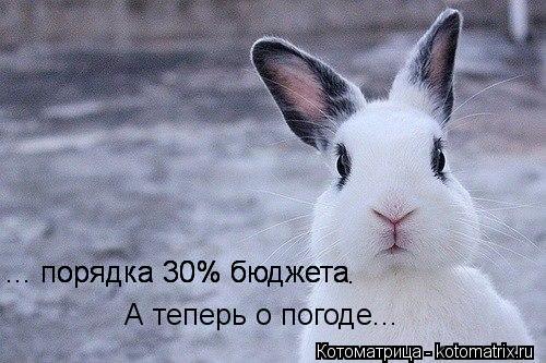 Котоматрица: ... порядка 30% бюджета ... порядка 30% бюджета ... порядка 30% бюджета А теперь о погоде... .