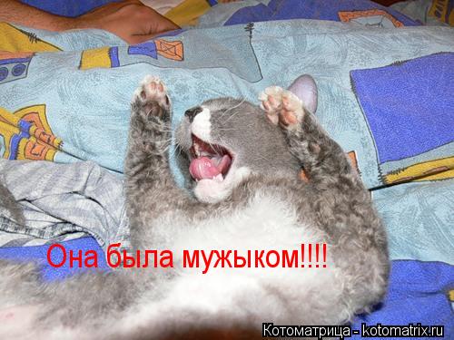 Котоматрица: Она была мужыком!!!!