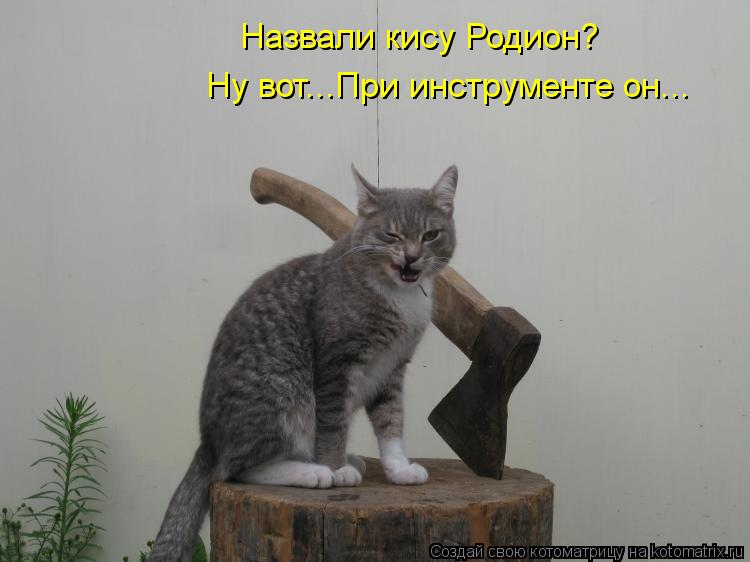 Котоматрица: Ну вот...При инструменте он... Назвали кису Родион?