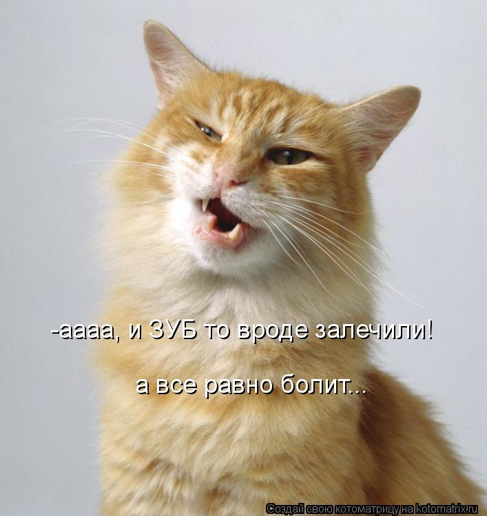 Котоматрица: -аааа, и ЗУБ то вроде залечили! а все равно болит...