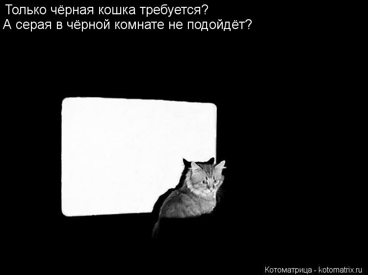 Котоматрица: Только чёрная кошка требуется? А серая в чёрной комнате не подойдёт?