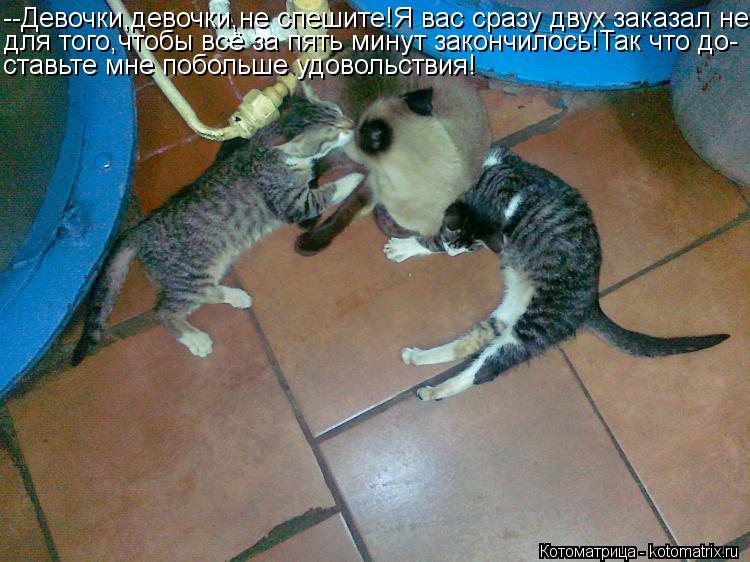 Котоматрица: --Девочки,девочки,не спешите!Я вас сразу двух заказал не для того,чтобы всё за пять минут закончилось!Так что до- ставьте мне побольше удовол