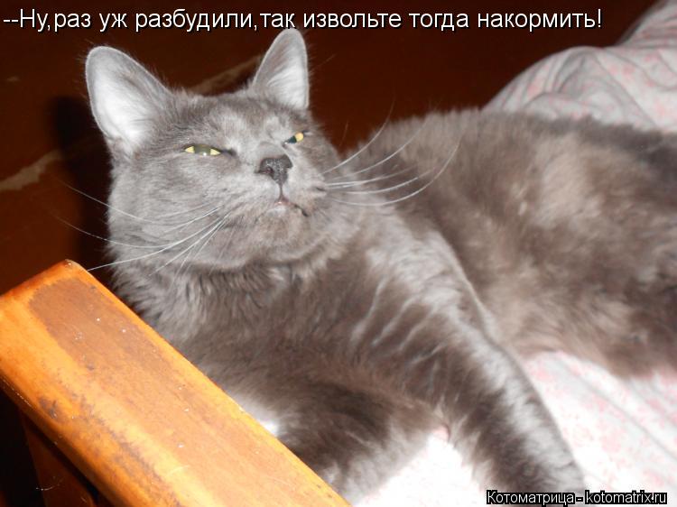 Котоматрица: --Ну,раз уж разбудили,так извольте тогда накормить!