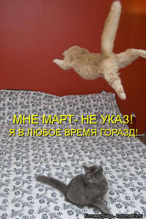Котоматрица: МНЕ МАРТ- НЕ УКАЗ! Я В ЛЮБОЕ ВРЕМЯ ГОРАЗД!