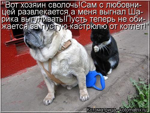 Котоматрица: "Вот хозяин сволочь!Сам с любовни- цей развлекается,а меня выгнал Ша- рика выгуливать!Пусть теперь не оби- жается за пустую кастрюлю от котле