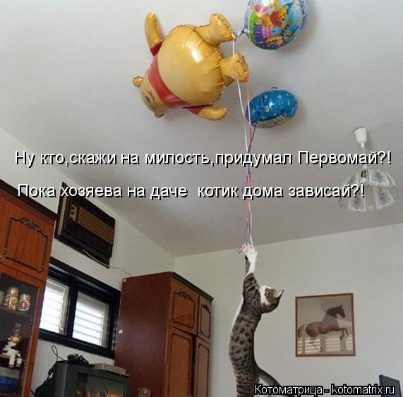 Котоматрица: Ну кто,скажи на милость,придумал Первомай?! Пока хозяева на даче  котик дома зависай?!