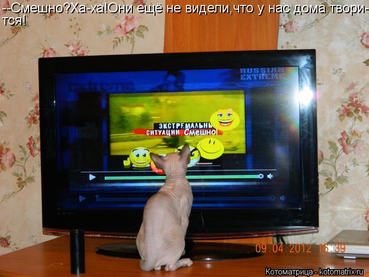 Котоматрица: --Смешно?Ха-ха!Они ещё не видели,что у нас дома твори- тся!
