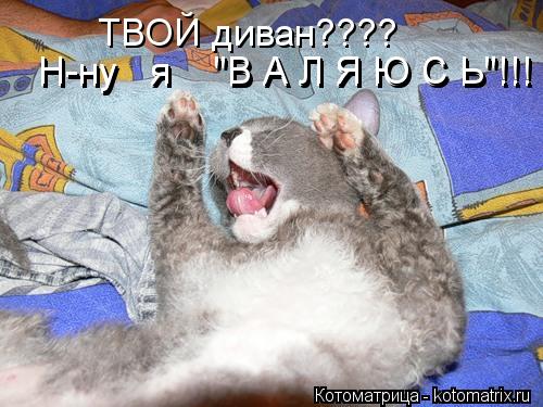 Котоматрица: ТВОЙ диван???? Н-ну   я    "В А Л Я Ю С Ь"!!! Н-ну   я    "В А Л Я Ю С Ь"!!! Н-ну   я    "В А Л Я Ю С Ь"!!!