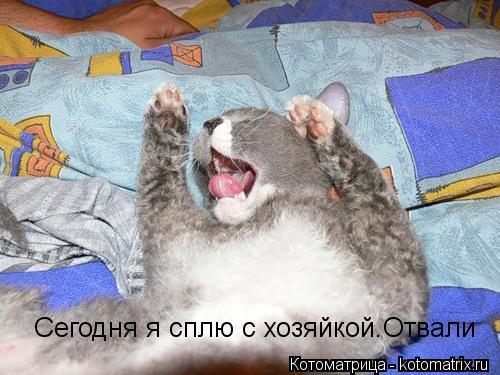 Котоматрица: Сегодня я сплю с хозяйкой.Отвали