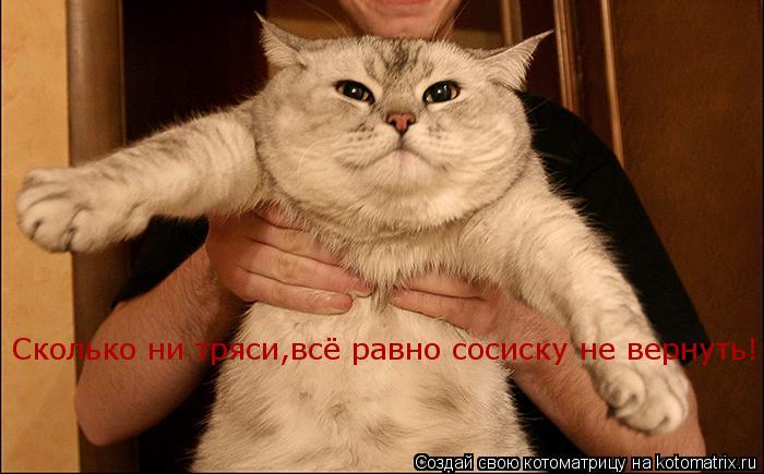 Котоматрица: Сколько ни тряси,всё равно сосиску не вернуть!