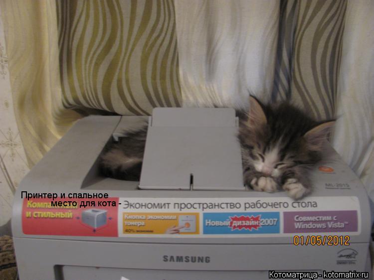 Котоматрица: Принтер и спальное  место для кота -