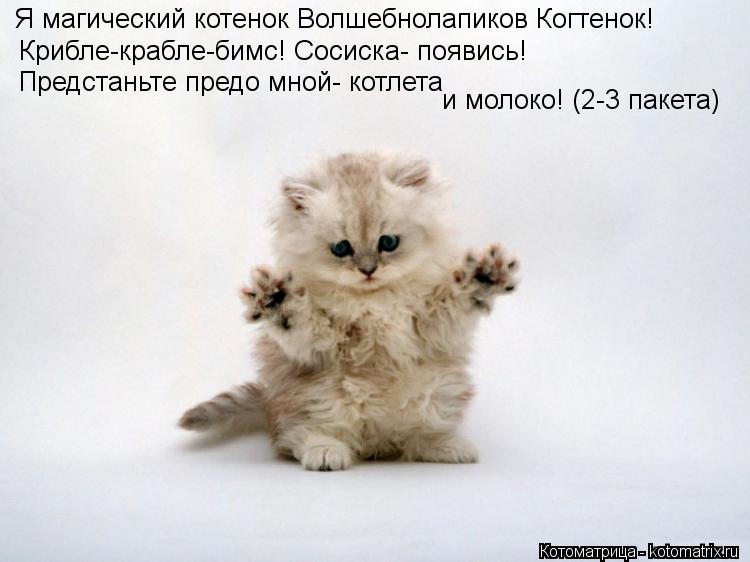 Котоматрица: Крибле-крабле-бимс! Сосиска- появись! Предстаньте предо мной- котлета  и молоко! (2-3 пакета) Я магический котенок Волшебнолапиков Когтенок!