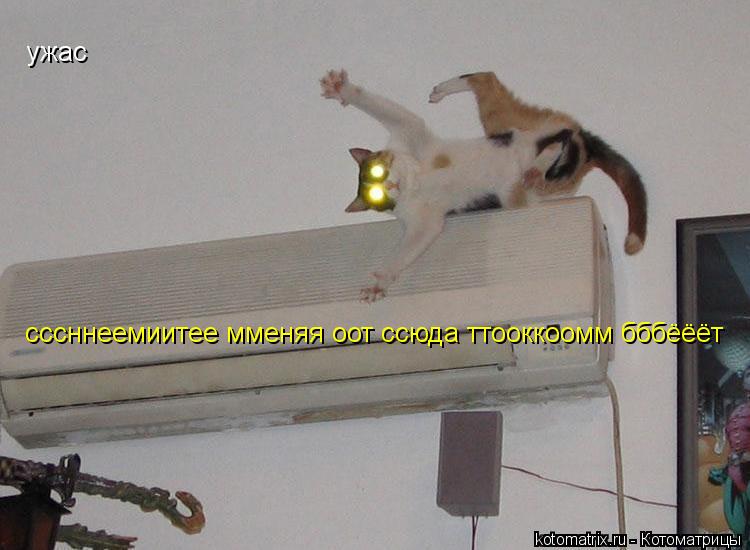 Котоматрица: сссннеемиитее мменяя оот ссюда ттооккоомм бббёёёт ужас