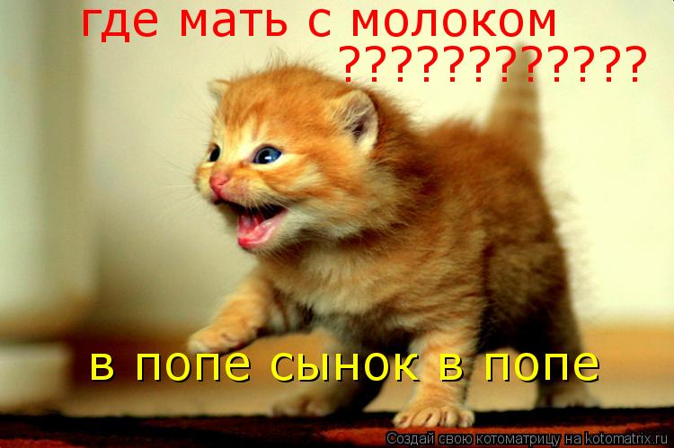 Котоматрица: где мать с молоком ???????????? в попе сынок в попе