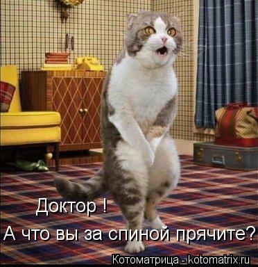 Котоматрица: Доктор !   А что вы за спиной прячите?