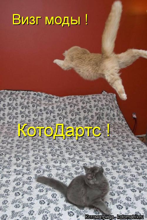 Котоматрица: КотоДартс ! Визг моды !