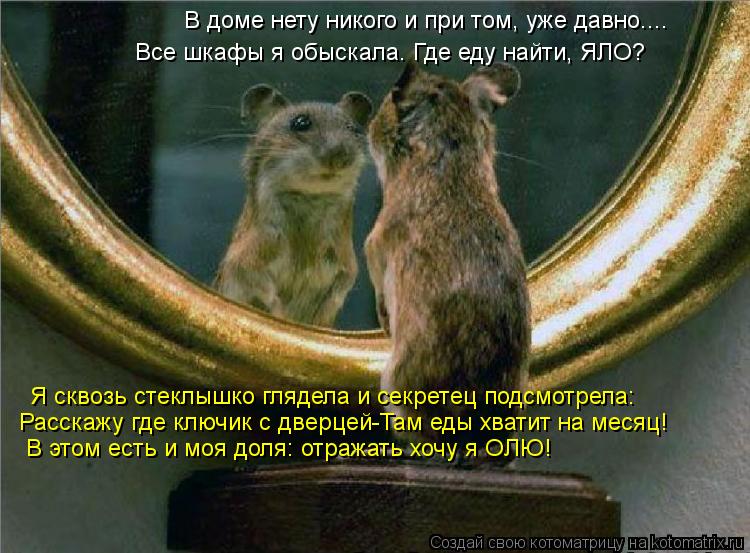 Котоматрица: В доме нету никого и при том, уже давно.... Все шкафы я обыскала. Где еду найти, ЯЛО? Я сквозь стеклышко глядела и секретец подсмотрела: Расскаж