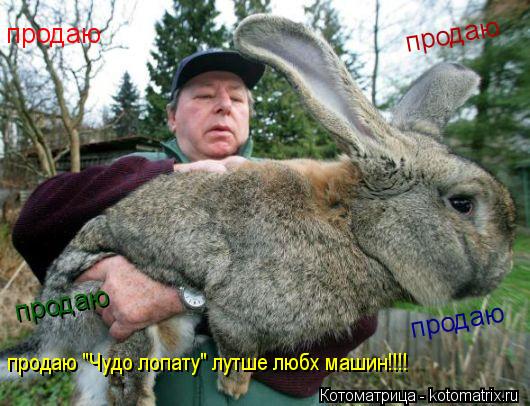 Котоматрица: продаю "Чудо лопату" лутше любх машин!!!! продаю продаю продаю продаю