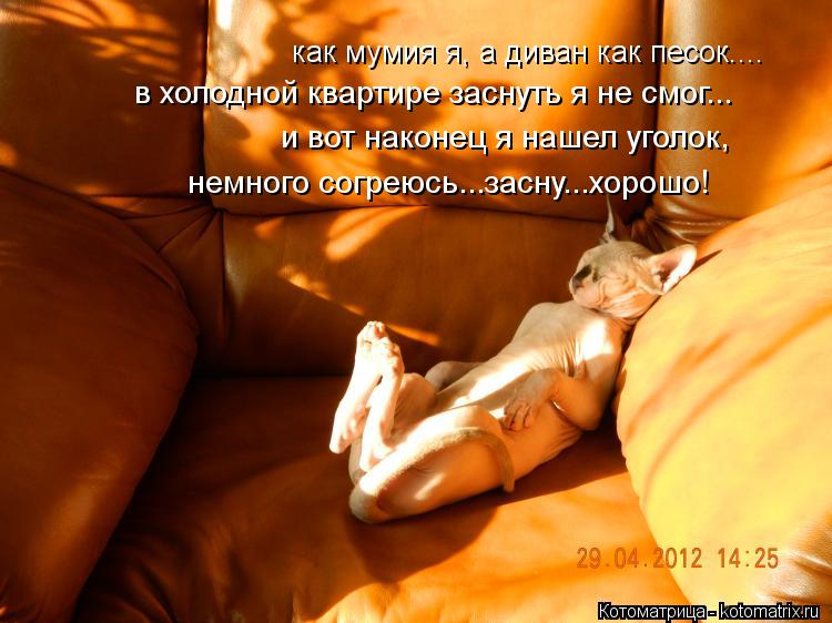 Котоматрица: как мумия я, а диван как песок.... в холодной квартире заснуть я не смог... и вот наконец я нашел уголок, немного согреюсь...засну...хорошо!