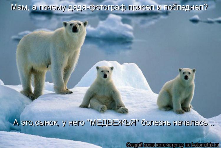Мам, а почему дядя-фотограф присел и побледнел? А это,сынок, у него "МЕДВЕЖЬЯ" болезнь началась...... Котоматрица: Мам, а почему дядя-фотограф присел и побледнел? А это,сынок, у него "МЕДВЕЖЬЯ" болезнь началась...