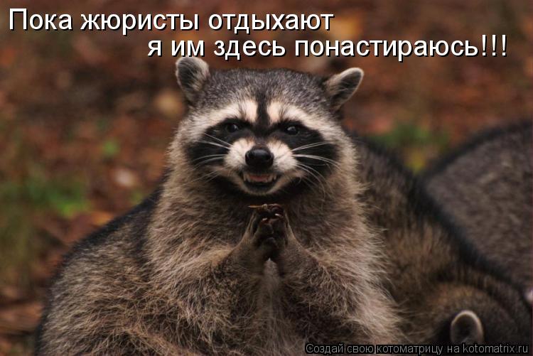 Котоматрица: Пока жюристы отдыхают я им здесь понастираюсь!!!