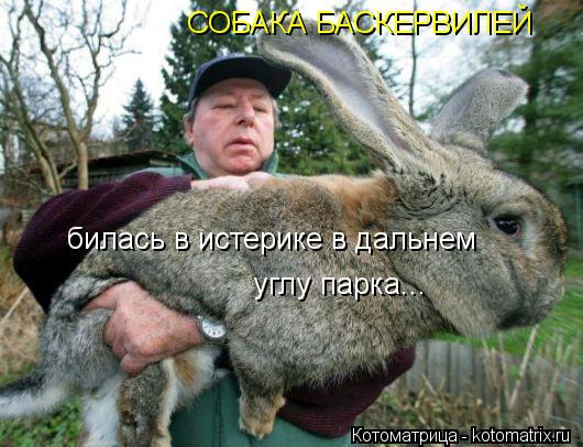 СОБАКА БАСКЕРВИЛЕЙ билась в истерике в дальнем углу парка...... Котоматрица: СОБАКА БАСКЕРВИЛЕЙ билась в истерике в дальнем углу парка...