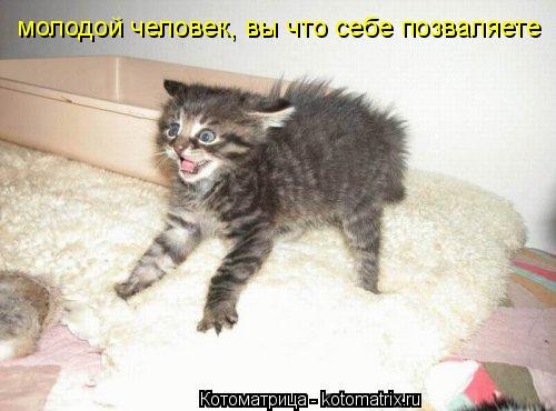 Котоматрица: молодой человек, вы что себе позваляете