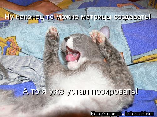Котоматрица: Ну наконец то можно матрицы создавать! А то я уже устал позировать!