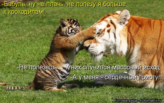 Котоматрица: -Бабуль, ну не плачь, не полезу я больше  к крокодилам! -Не полезешь... У них случился массовый исход. -А у меня - сердечный приступ.