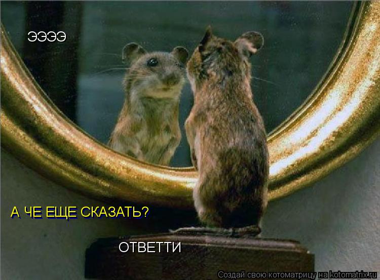 Котоматрица: ЭЭЭЭ А ЧЕ ЕЩЕ СКАЗАТЬ? А ЧЕ ЕЩЕ СКАЗАТЬ? ОТВЕТТИ