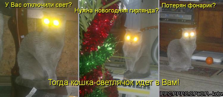 Котоматрица: У Вас отключили свет? Нужна новогодняя гирлянда? Потерян фонарик? Тогда кошка-светлячок идет в Вам!
