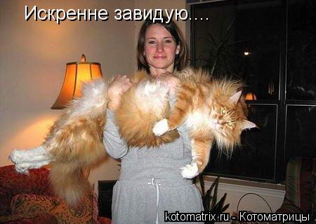Котоматрица: Искренне завидую....